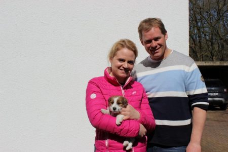 Jill-Ciwi lebt zusammen mit weiteren Hunden und Pferden in Gronau